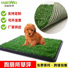 跑道草坪;地垫;狗厕所