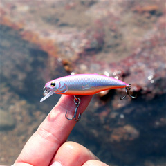 Japanese micro-object Minnow