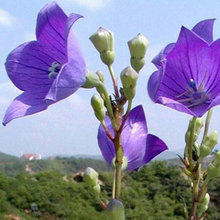 ۹KN۹@ˇֲ̨ļ＾۹