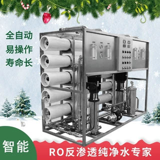 10吨RO大型工业纯水机反渗透纯水纯化水处理设备厂家