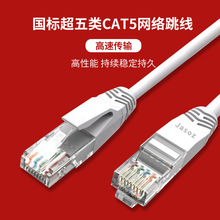 1.5׼~3·2cat5ΙC10mƷWj