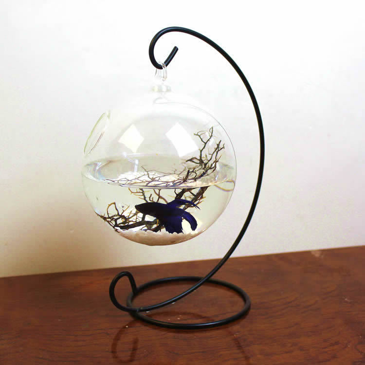 Colgante de hierro marco pecera vidrio hidropónico botella colgante decoraciones la boda artesanías caseras creativas