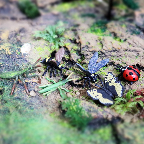 Simulated wild insect animal model set mini mantis grasshopper butterfly seven-star ladybug dragonfly bee toy