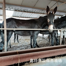 Ʒ�N���H �����H�� �����H�q�ݿ� �N���H ����B�H��ǰ����ô��