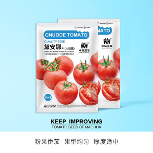 �п�ï�A�߲˷N���찲�ȷ��ѷN�ӷۼtɫ�������^���ѹ�100��