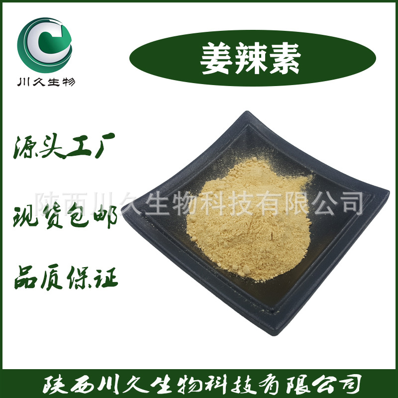 现货姜辣素 川久生物 多规格供应 生姜提取物 干姜提取物  水溶性