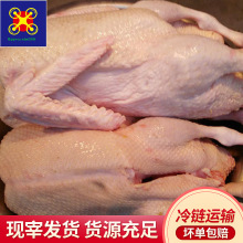 �S��ֱ�N������������ֻ���l20��50��100������