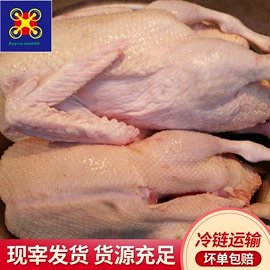 鱼类;鸡肉类;鸭肉类