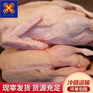 �S��ֱ�N������������ֻ���l20��50��100������