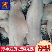 花鲢鱼脊柳肉  鱼肉可制鱼丸鱼干速冻烤鱼鱼柳