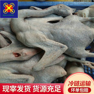 �������B90����������Z�_��5-8����Ƴɟ��Z�����Z�����Z