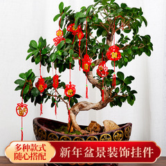 New Year blessing pendant Spring Festival outdoor yard wedding indoor scene layout decoration series pendant