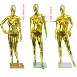 模特;展示衣架;衣架