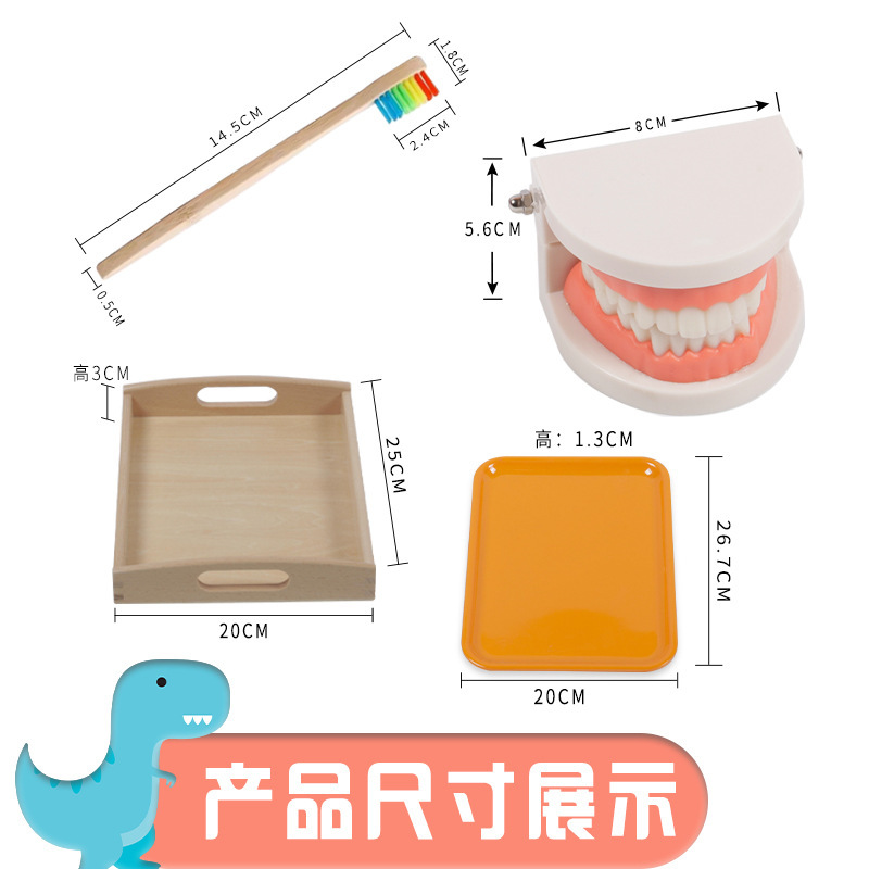 Montessori ayudas didácticas niños cepillado y lavado traje educación temprana juguetes educativos dentadura diente modelo kindergarten dientes cognitivos