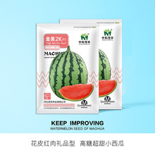 中科茂华瓜果种子金美2K西瓜种子花皮红肉甜脆多汁椭圆耐储运