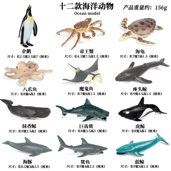 JS mini -ocean 12 sets (note size) about 0.16kg