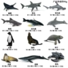KZ mini ocean 12 set (note size) 0.09kg