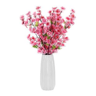 �����һ�֦65cm�һ������Ҙ仨֦�����S��ֱ�N�Ҿ��b�c����