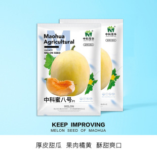 �п�ï�A�Ϲ��N���۰�̖��Ƥ��ϷN�ӹ�����ɫ�����۰�̖-200��