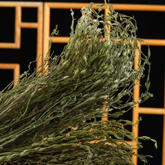 Wild Aconitum carmichaelii, freshly picked, Aconitum carmichaelii for curing indigestion, Chinese herbal medicine Aconitum carmichaelii, wholesale from the origin.