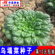 а~˷NҰ˱P˾ջ˷NͺԽ˷NļNֲ