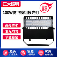 ������LED100WͶ��������NƬ���m����V�������������