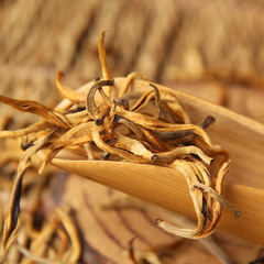 批發 雲南大樹金芽 2024年新茶 雲南鳳慶大金芽 雲南滇紅茶葉