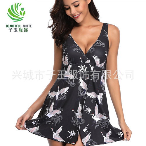 Women's Conservative European and American Plus-Size Swan Print Split Sexy Bikini One-Piece Swimsuit