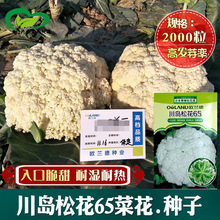 �u�ɻ�65��ײ˻��N�� �r��ˈ@�͝����ɴ��ձ��ɻ�����