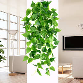 绿萝假植物仿真藤蔓装饰塑料假花藤条客厅室内墙面壁挂花吊篮树叶