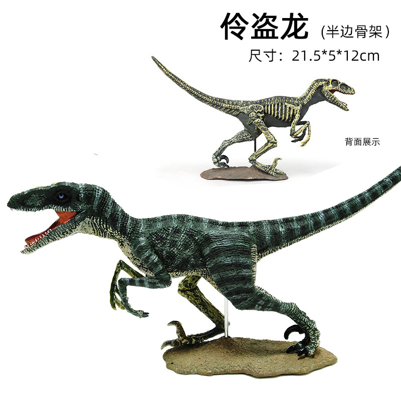 Dinosaurio modelo Decoración serie una variedad de plástico de juguete de dinosaurio estático de plástico opcional