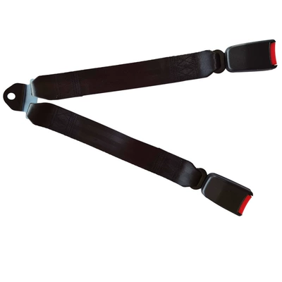 Car seat belt belt, one-on-two safety belt