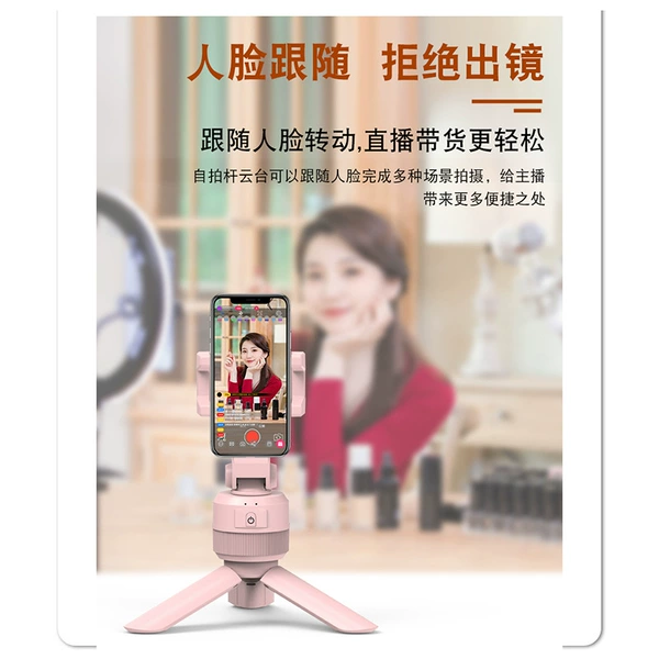 Pink TM205 English version