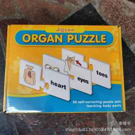 儿童英语单词学习卡片 器官拼图 英语单词学习 图片单词配对拼图