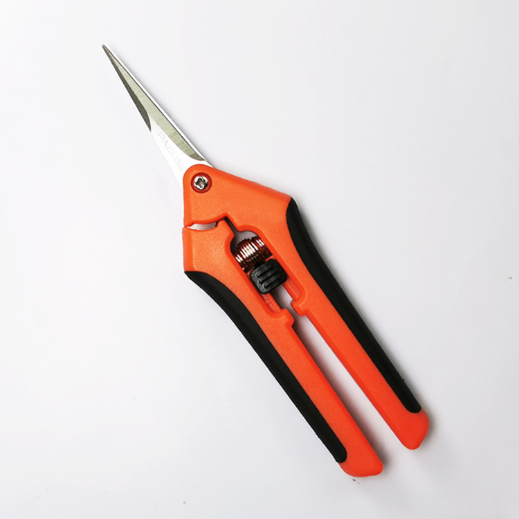 Tijeras de reparación de plántulas de frutas en stock Tijeras de brotes de hojas de acero inoxidable Tijeras de podar árboles frutales Tijeras de jardinería de ramas gruesas