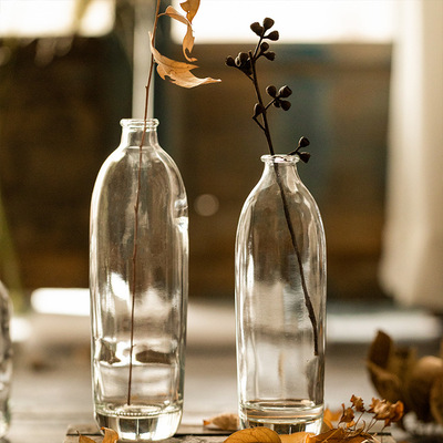 Modern simplicity Clear glass vase Plug vase fresh originality Home Furnishing Floral organ decorate Arts and Crafts Decoration