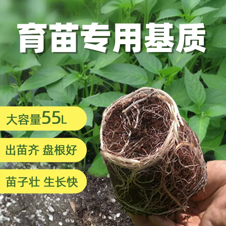 厂家直供蔬菜育苗基质水稻育苗基质苗木扦插基质土草莓栽培基质