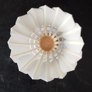 �\��ȫ�A��ë���ʹ��w�кÌ��ˁ�4��С�~���l