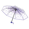 Internet celebrity new transparent umbrella personalized student umbrella literary folding umbrella female manufacturers spot wholesale