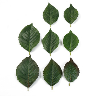 Manufacturers supply Simulation Leaf Hydrangea Simulation False Leaf Home Decoration Wedding Wedding Decoration Spot and Wholesale