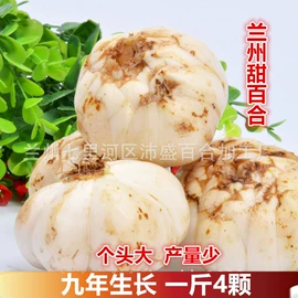 块茎类;百合;其他滋补