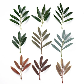 仿真绿植;仿真枝叶和树;仿真植物配件