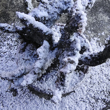 亚马逊植绒雪粉雪飘粉 雪花粉喷水雪粉 无需加水超白高仿真雪粉