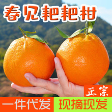 �Ĵ���Ҋ�ҰҸ����r�Fժ���8�ﮔ��ˮ���ϱP�b�ǳ��ٲ�֪����l