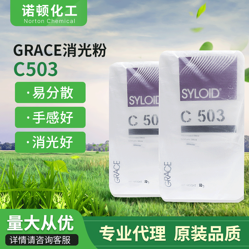 格雷斯C503二氧化硅哑粉消光粉消光剂 家具漆皮革漆耐刮檫平光剂