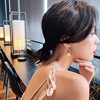 Fashionable universal earrings with tassels from pearl, Japanese and Korean, wholesale