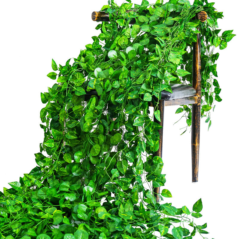 Ivy Green Plant Rattan Artificial Artificial Vine Flower Wedding Artificial Flower Green Plant Flower Vine Scene Decoration Ivy Green Plant Rattan Artificial Artificial Vine Flower Wedding Artificial Flower Green Plant Flower Vine Scene Decoration