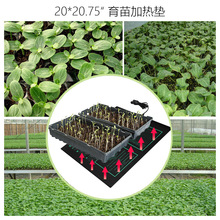 20*20.75ӟ|@ˇֲ늟Ĥseedling heat mats
