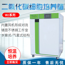 �Ϻ����S WJ-3/3-T  WJ-3-160/160T ������̼�������B��