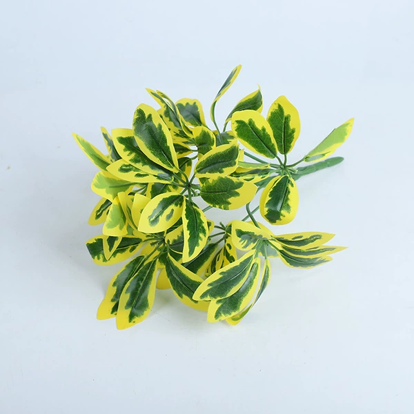 Yellow Border Fortune Leaf